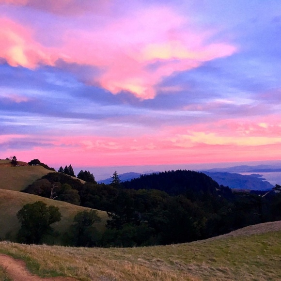 Meet your Posher, Gabrielle - Picture 3 of 5